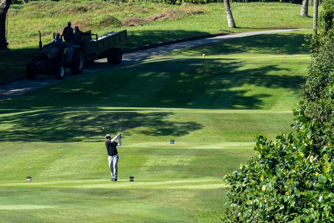 SNEIMAGE 20251002 3646